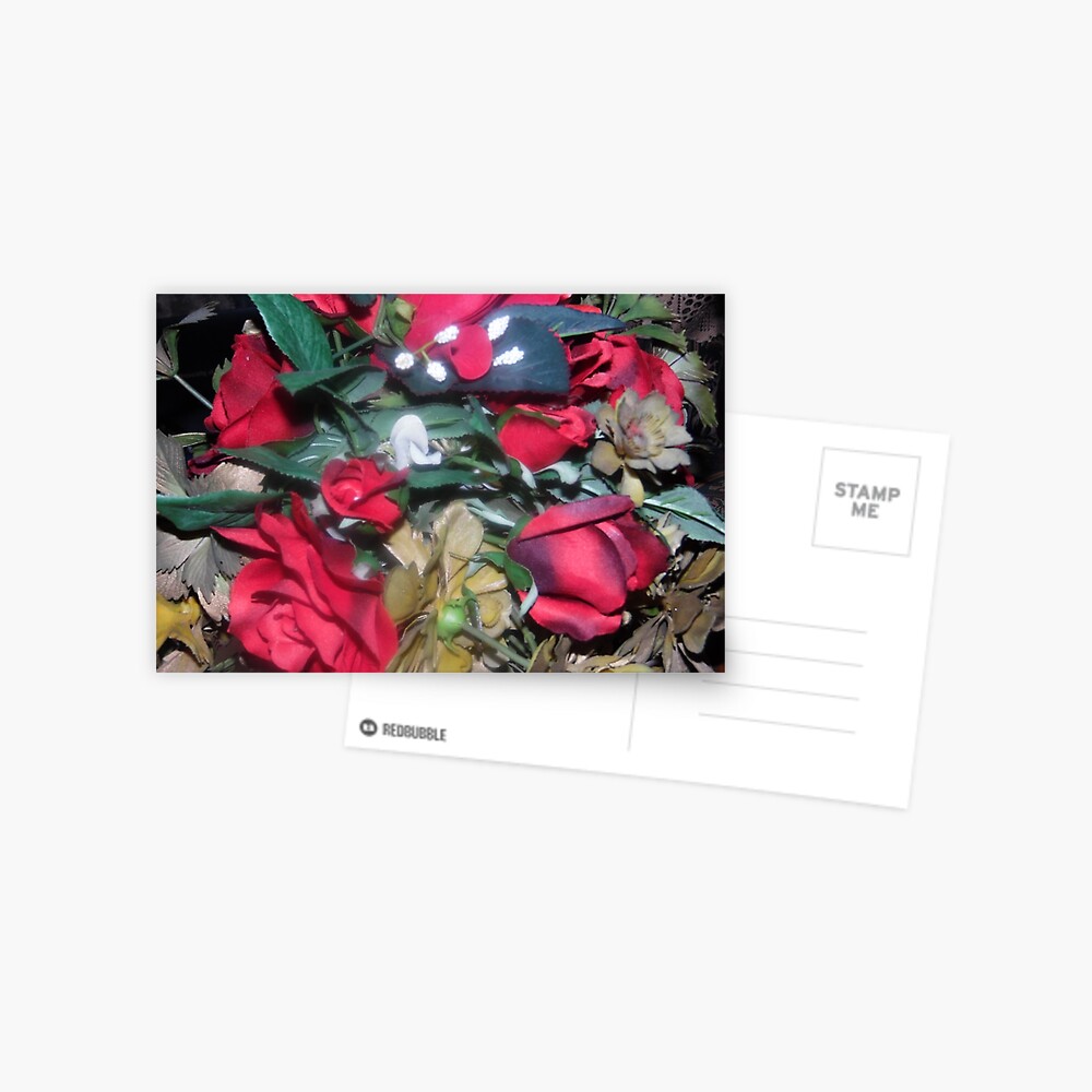 Petals Collection Postcard