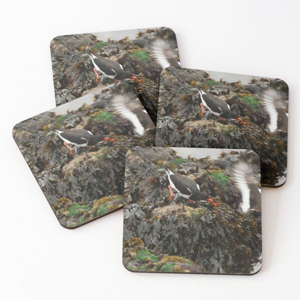 Item preview, NO COMPANY  designed and sold by andrewsaxton.