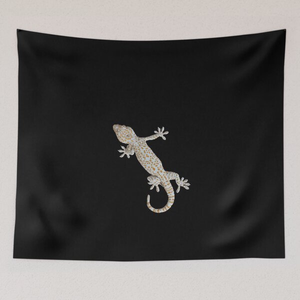 Item preview, Climbing gecko. Funny gecko. Photo, photograph designed and sold by JellyBeenzz.