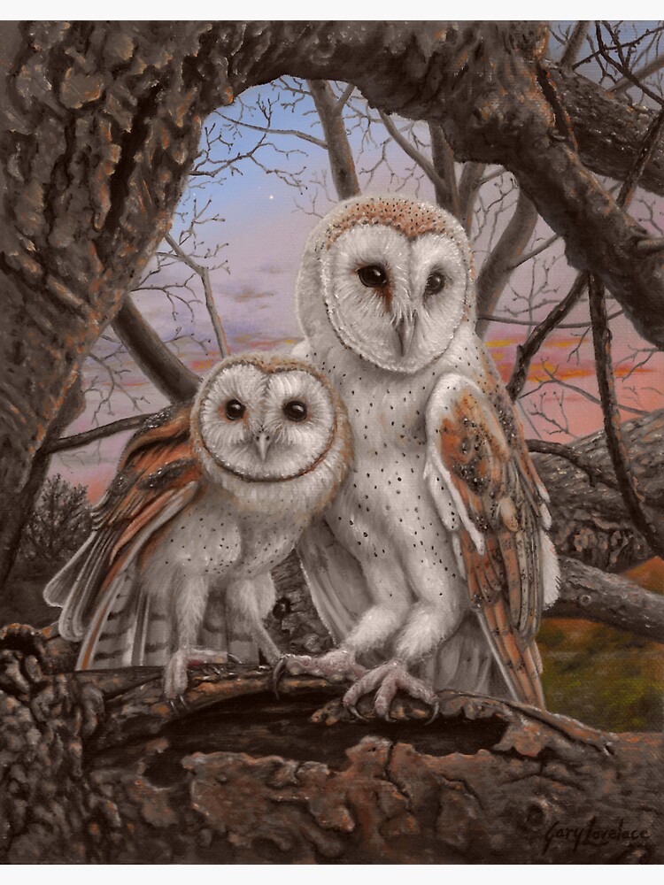 Thumbnail 3 of 3, Sticker, Barn Owls at Dusk designed and sold by artmangary.