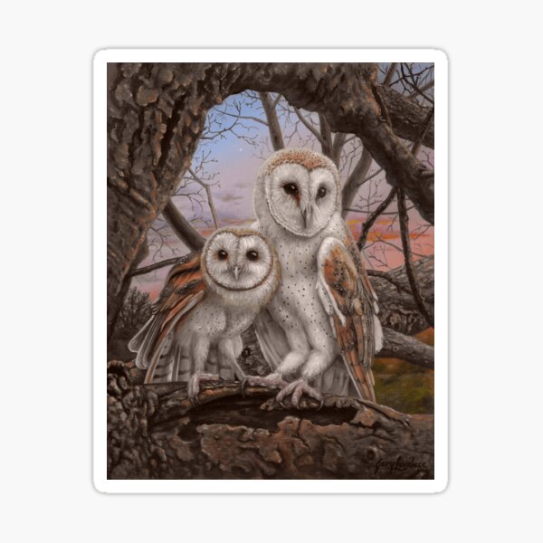 Barn Owls at Dusk Sticker