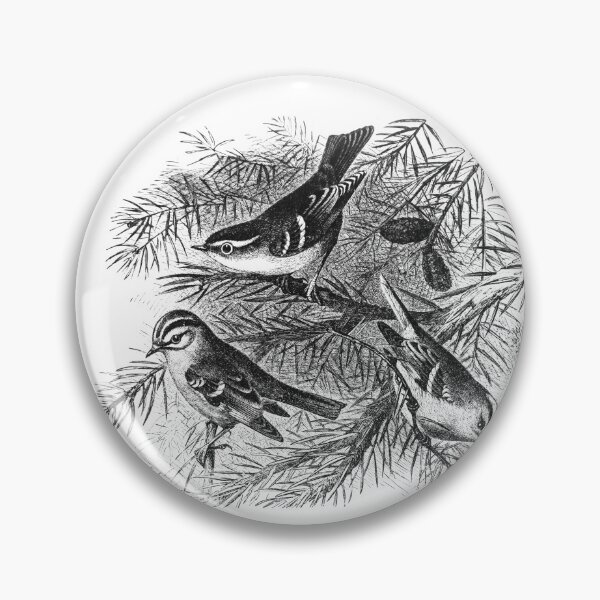 Artikelvorschau, Phylloscopus entworfen und verkauft von LegendaryOddity.