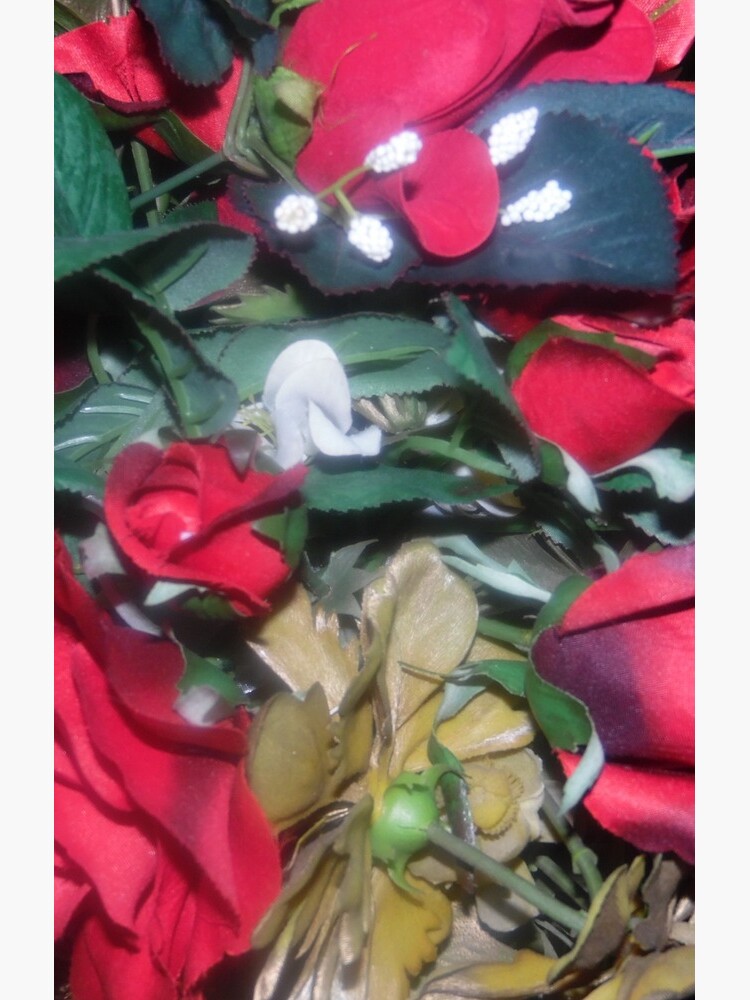 Petals Collection by pandpmedia