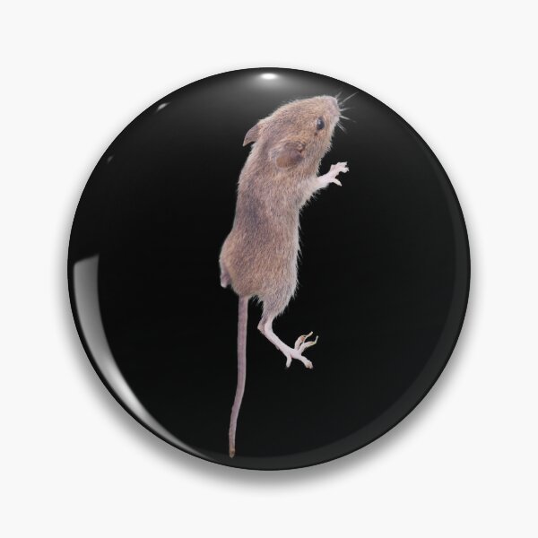 Item preview, Climbing mouse. Funny mouse. Photo, photography. designed and sold by JellyBeenzz.