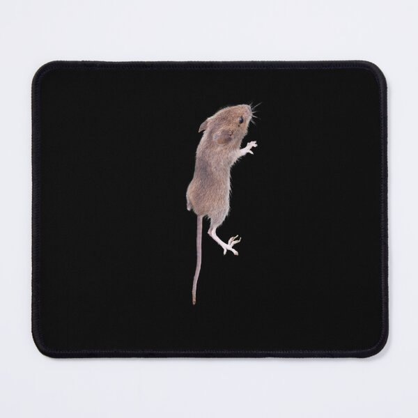 Item preview, Climbing mouse. Funny mouse. Photo, photography. designed and sold by JellyBeenzz.