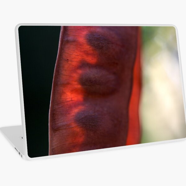 seedy light Laptop Skin