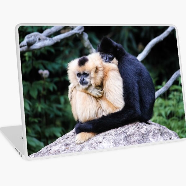 two monkeys Laptop Skin
