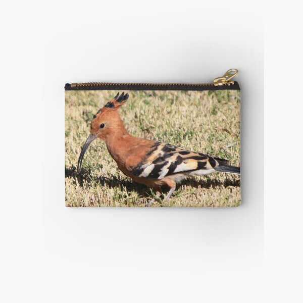 Item preview, African Hoopoe - Upupa africana designed and sold by Rina Greeff.
