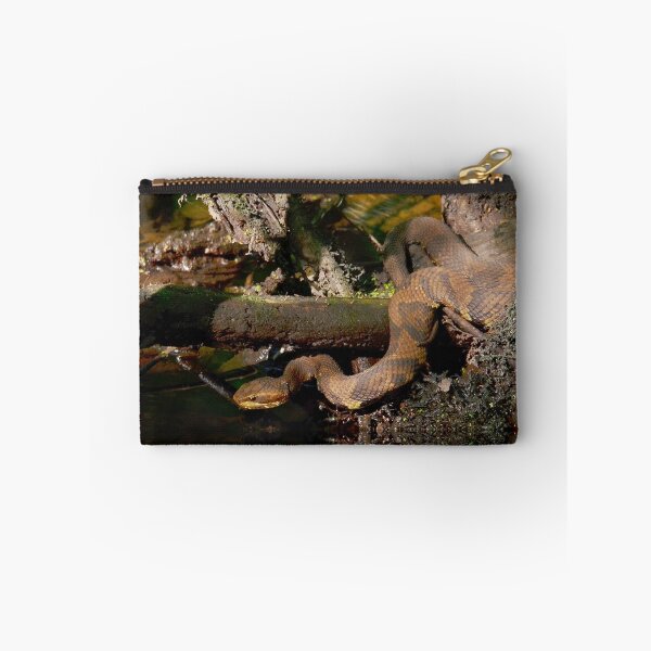 Item preview, Cotton Mouth In The Cypress Swamps designed and sold by Kathy Baccari.