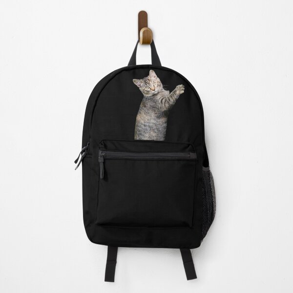 Item preview, Climbing Cat. Funny, cute cat. Photo, photograph designed and sold by JellyBeenzz.