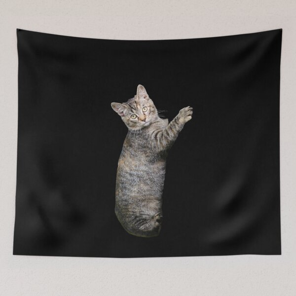Item preview, Climbing Cat. Funny, cute cat. Photo, photograph designed and sold by JellyBeenzz.