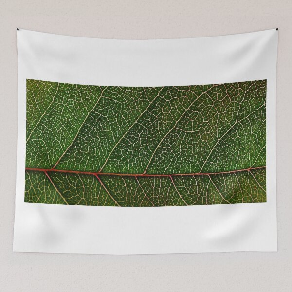 Item preview, The Leaf designed and sold by EgoPolis.