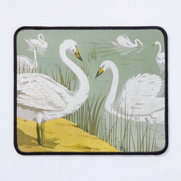 Item preview, L'animal dans la décoration (1897) - Maurice Pillard Verneuil designed and sold by chamomile-cafe.