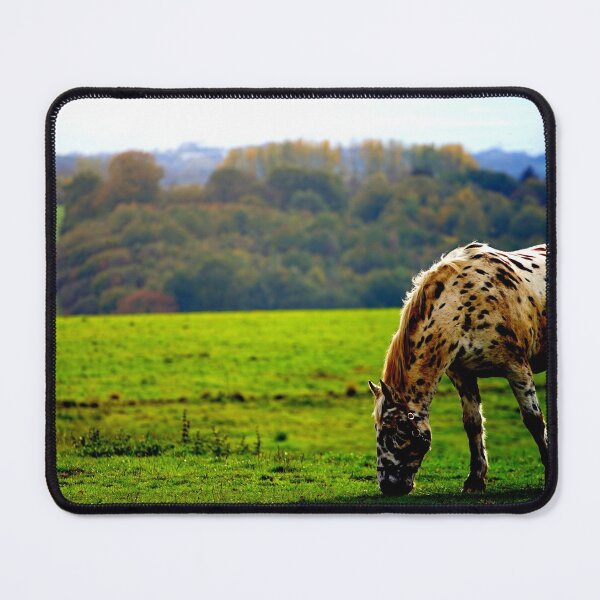 Item preview, horse photo with high resolution quality designed and sold by Allyouneed-2.