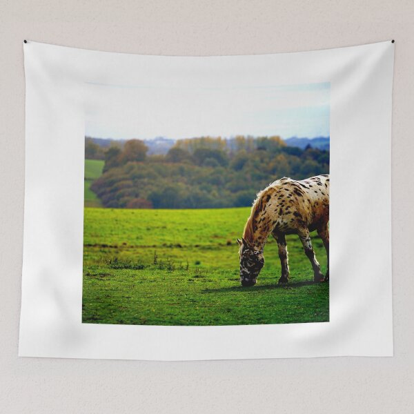 Item preview, horse photo with high resolution quality designed and sold by Allyouneed-2.