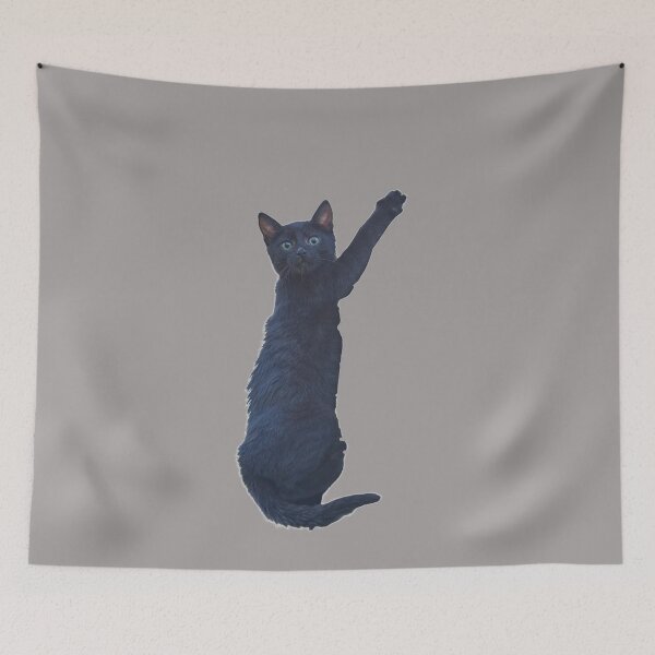 Item preview, Climbing Cat. Funny, cute black cat. Photo, photograph designed and sold by JellyBeenzz.