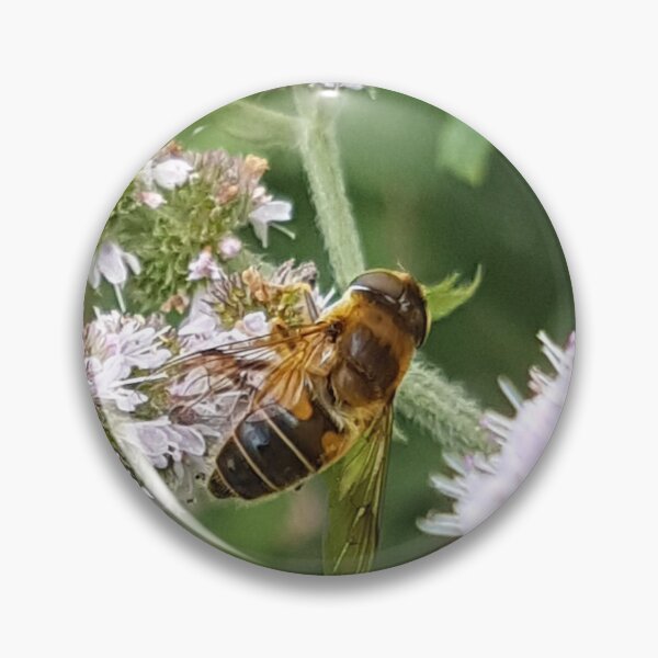 Aperçu de l'œuvre Hoverfly sur menthe créée et vendue par AbnormalLoad.