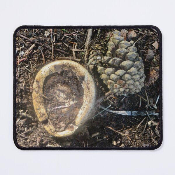 Item preview, Fallen mushroom and pinecone designed and sold by Shulie1.