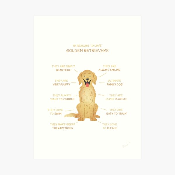 10 Reasons To Love Golden Retrievers Art Print By Karopiet Redbubble