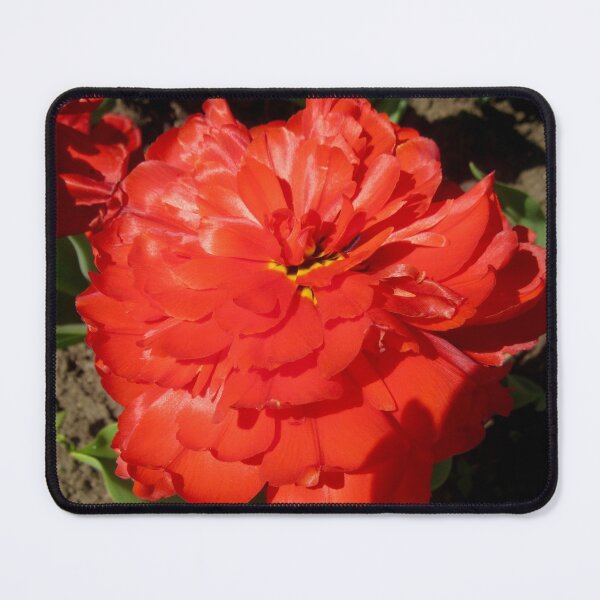 Item preview, Stunning Red Rose designed and sold by Shulie1.