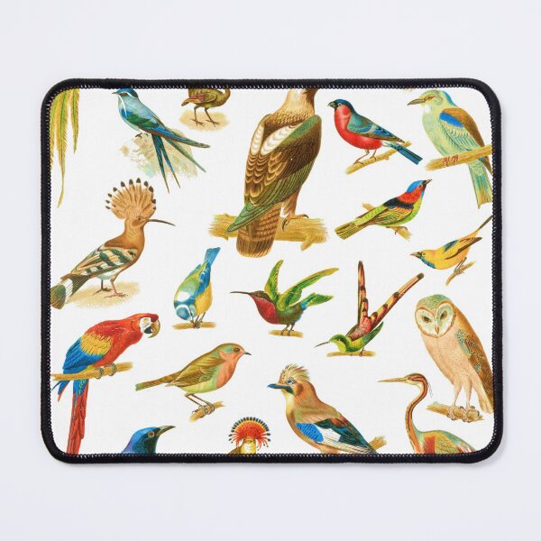 Item preview, birds remastered designed and sold by pinkdrinksoul.