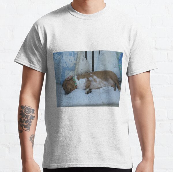 Will the photographer let me sleep Classic T-Shirt