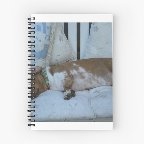 Item preview, Will the photographer let me sleep designed and sold by AuntieBarbie.