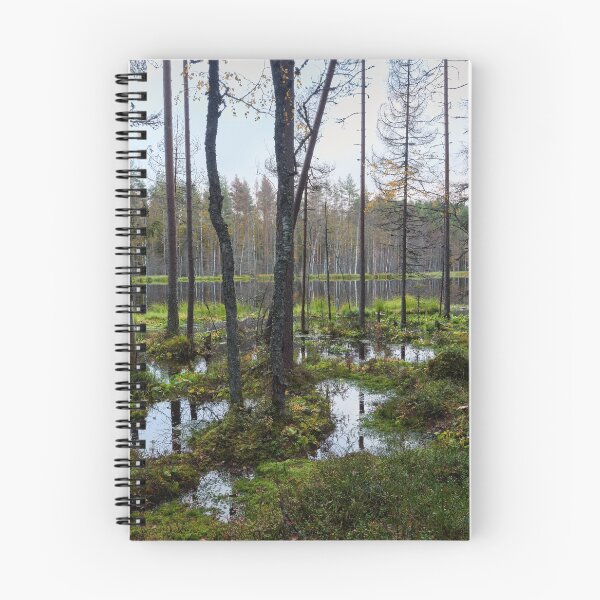 Item preview, Rising waters at beaverlake designed and sold by Jouko Lehto Photography.