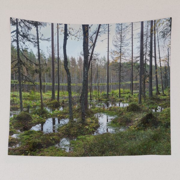 Item preview, Rising waters at beaverlake designed and sold by Jouko Lehto Photography.