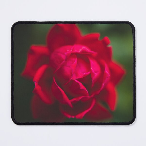 Item preview, Close to a Rose designed and sold by Eyecbeauty.