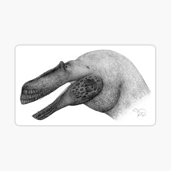 Torvosaurus Gurneyi Head Sticker By Pauleontology Redbubble