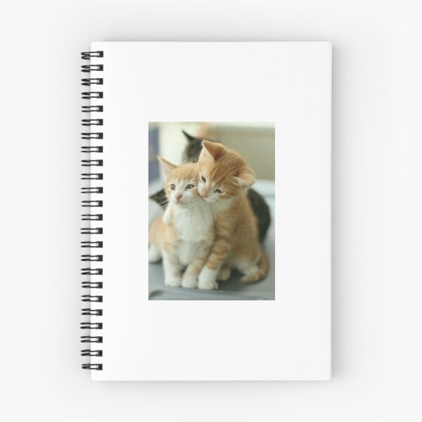 Item preview, Lovely..cats. designed and sold by Rpc409chandana.