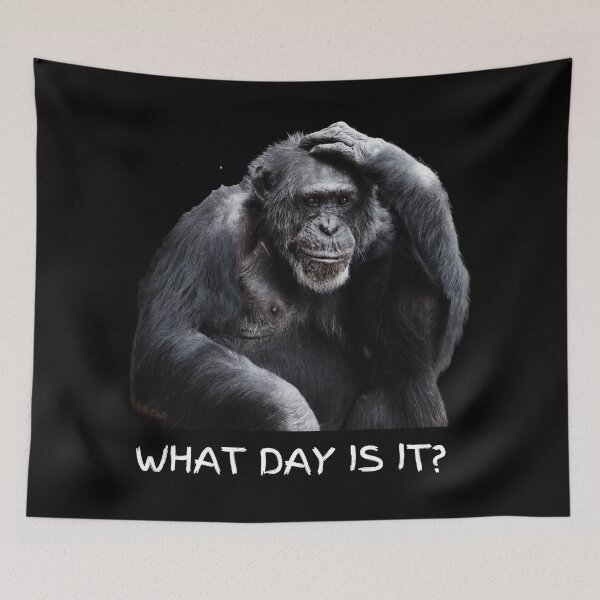 Item preview, What day is it? Confused Chimp. Photograph and white, handwritten text designed and sold by JellyBeenzz.