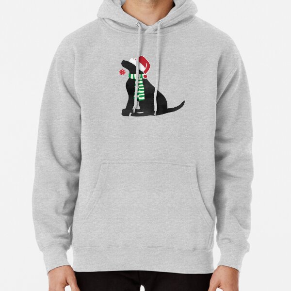 lab sweatshirts