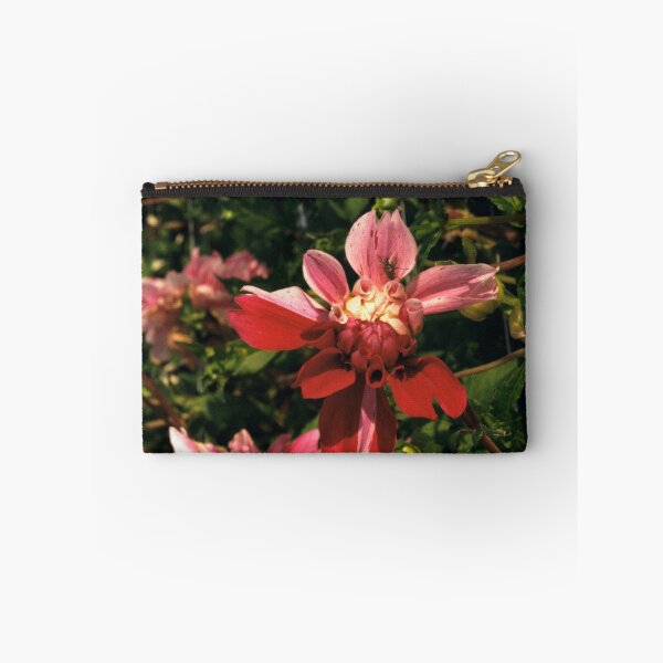 Item preview, Double Coloured Dahlia Flower designed and sold by Debjaphotography.