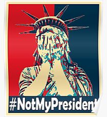 Nicht mein Präsident Poster