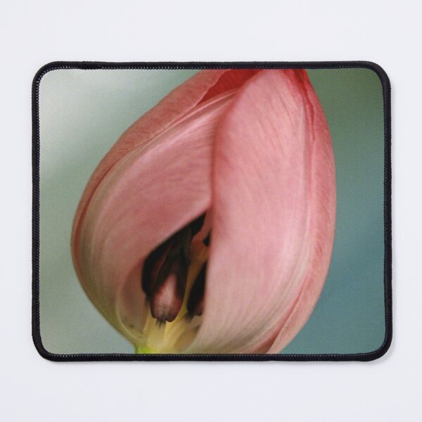 Item preview, Inner Beauty designed and sold by Debjaphotography.