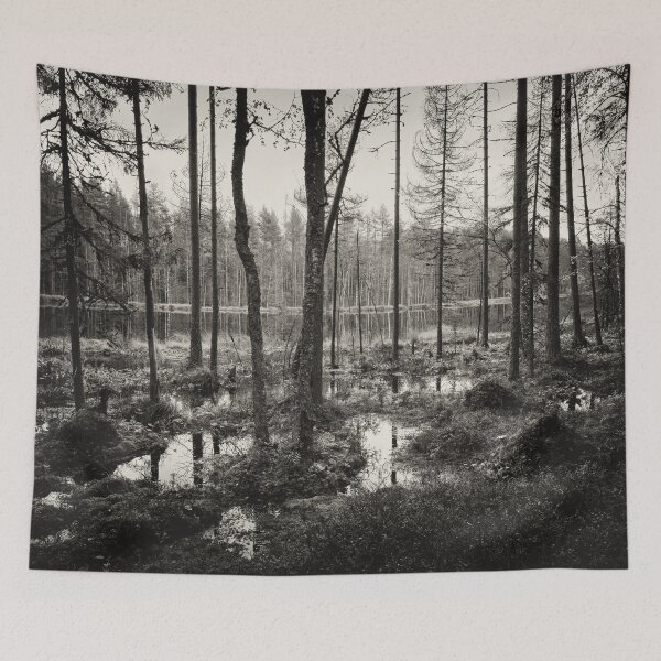Item preview, Rising waters at beaverlake bw designed and sold by Jouko Lehto Photography.