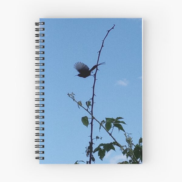 Item preview, Bird view designed and sold by Melech.