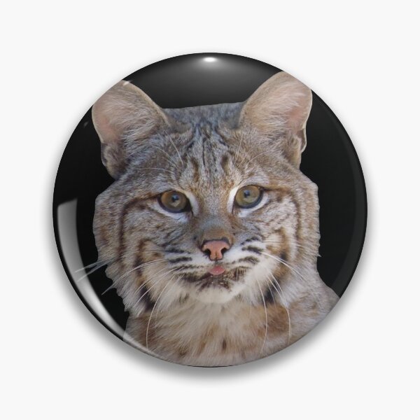 Item preview, Bobcat designed and sold by andrew82984.