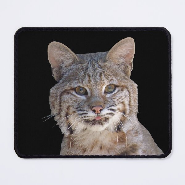 Item preview, Bobcat designed and sold by andrew82984.