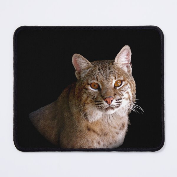 Item preview, Bobcat designed and sold by andrew82984.