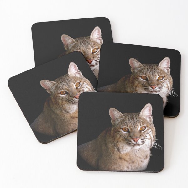 Item preview, Bobcat designed and sold by andrew82984.