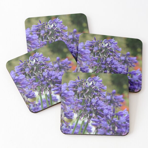 Item preview, Agapanthus designed and sold by GreyFeatherPhot.