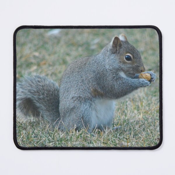 Item preview, Snack Time designed and sold by Veseclicks.