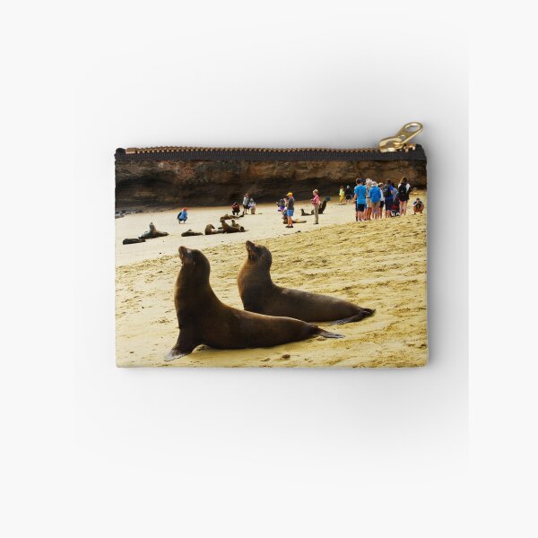 Item preview, Galapagos Sea Lions catching some sun on San Cristobal designed and sold by Bruce Alexander.