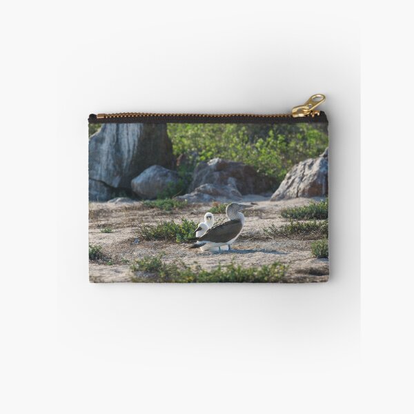 Item preview, Blue Footed Booby with two chicks designed and sold by Bruce Alexander.