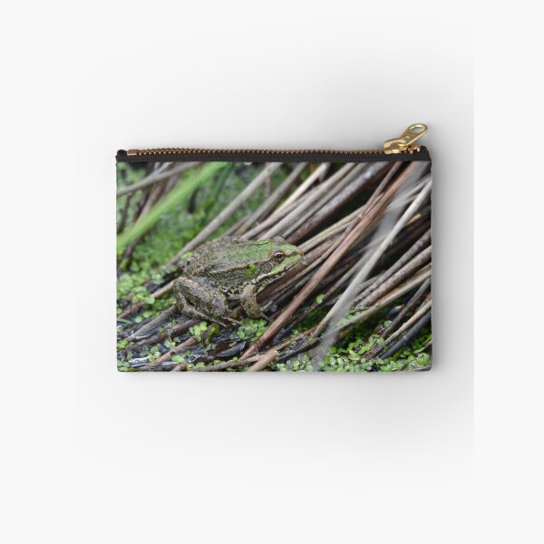 Artikelvorschau, Frog in a bog ! entworfen und verkauft von JonGod.