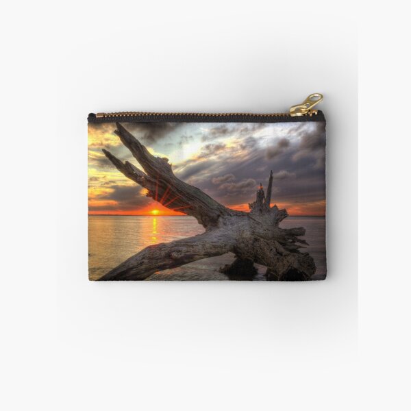 Artikelvorschau, Driftwood Beach zeigt die Auswirkungen der Erosion, wenn die lebenden Eichen und Kiefern vom Meer verzehrt werden. entworfen und verkauft von Greg and Chrystal Mimbs.