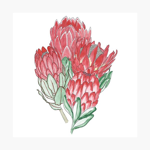 Item preview, Bunch of Flowers, Red, Green, Floral Pattern, Leaves, Petals, Hand made watercolour painting designed and sold by SemDesigns1.
